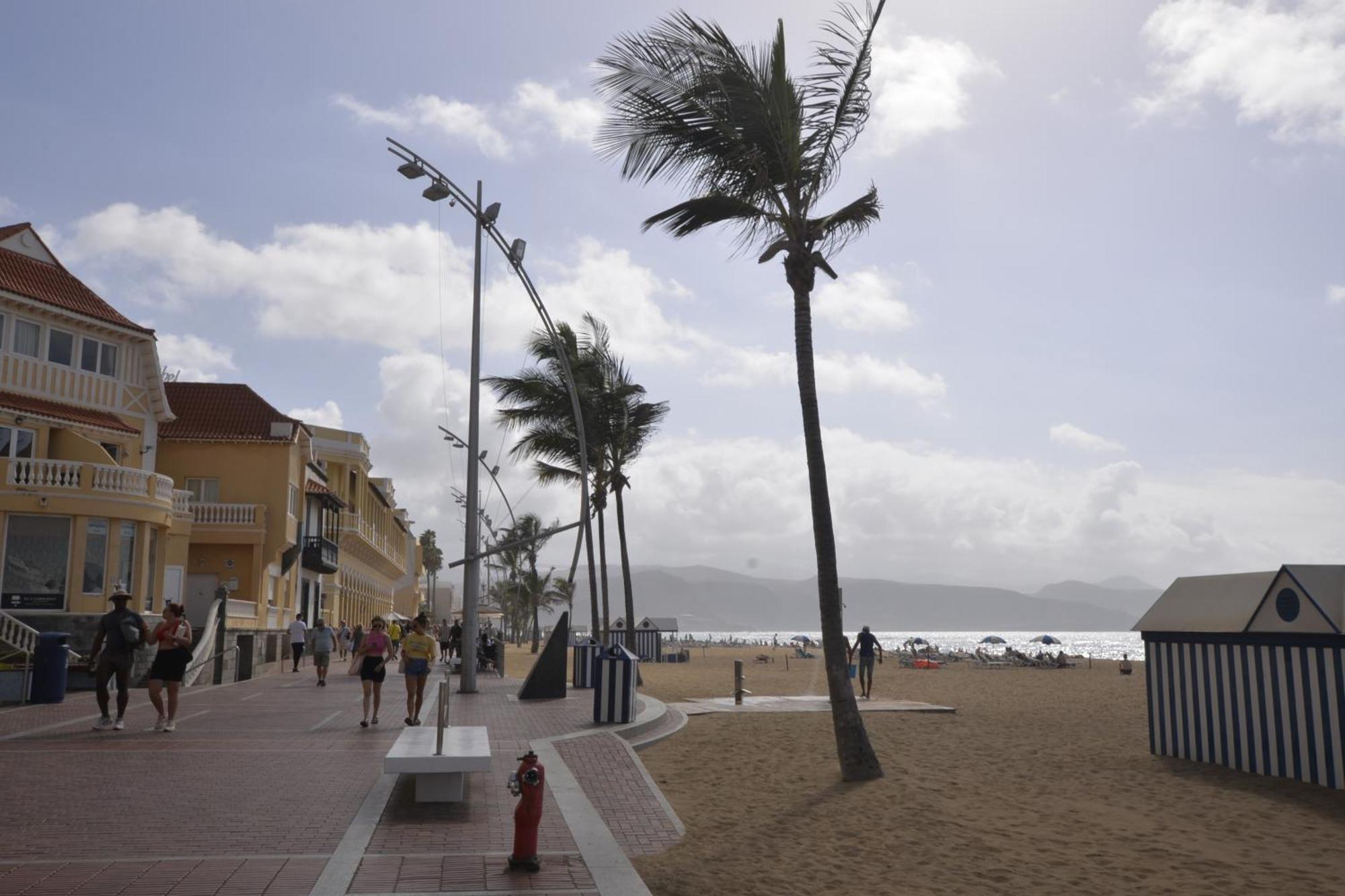 Apartamento Maralma Las Palmas de Gran Canaria Bagian luar foto